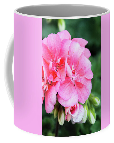 Flowers Coffee Mug featuring the photograph Pink and White Bouquet by Lisa Blake