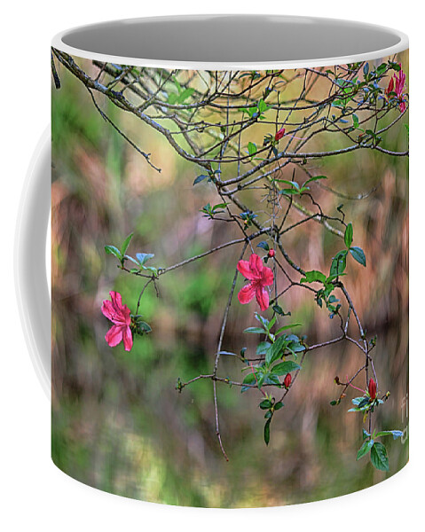 Azalea Coffee Mug featuring the photograph Pink Azalea Dream by Deborah Benoit