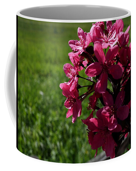 Botanical Coffee Mug featuring the photograph Pink Bloomers Green Field by Richard Thomas