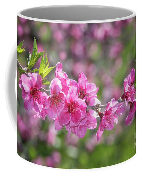 Apple Blossoms Coffee Mug featuring the photograph Pink Blossoms and Bokeh Background by Mimi Ditchie