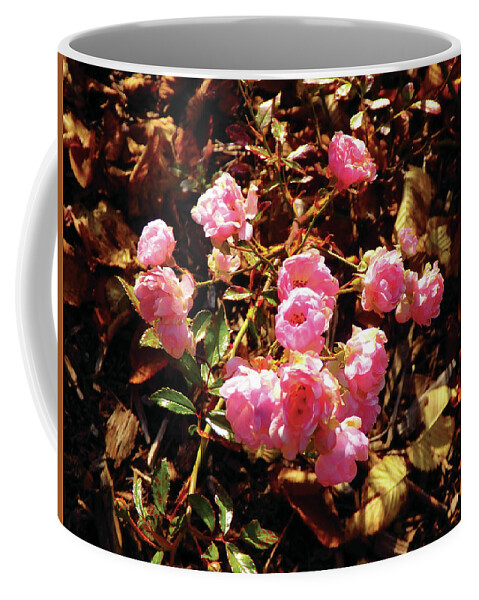 Flowers Coffee Mug featuring the photograph Pink Blossoms in Autumn by Celtic Artist Angela Dawn MacKay