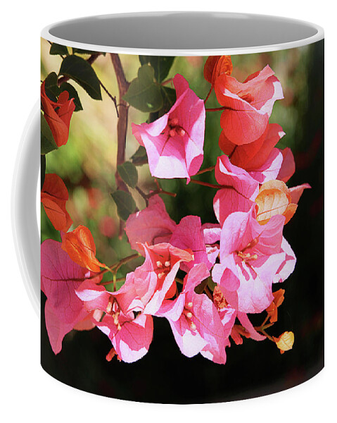 Bougainvillea Coffee Mug featuring the photograph Pink Bougainvillia- Photograph by Linda Woods by Linda Woods