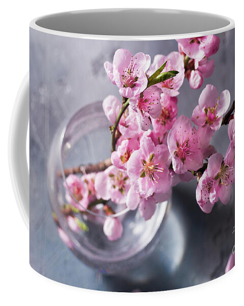 Cherry Coffee Mug featuring the photograph Pink Cherry Blossom by Anastasy Yarmolovich