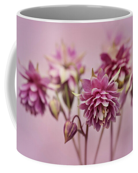 Colorful Coffee Mug featuring the photograph Pink columbines by Jaroslaw Blaminsky