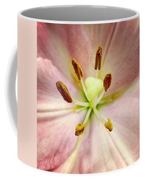 Lily Coffee Mug featuring the photograph Pink by Denise Railey
