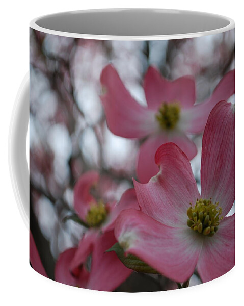 Floral Coffee Mug featuring the photograph Pink Dogwood Blossoms by Emily Page