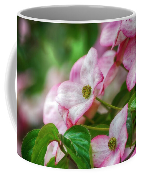 Nature Coffee Mug featuring the photograph Pink Dogwood by Bonnie Bruno