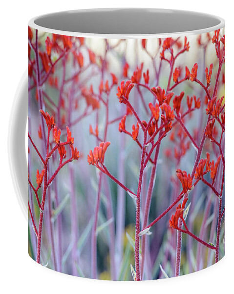 Flower Coffee Mug featuring the photograph Red Kangaroo Paw by Werner Padarin