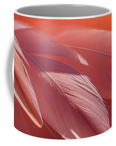 Abstract Coffee Mug featuring the photograph Pink Flamingo by Holly Ross