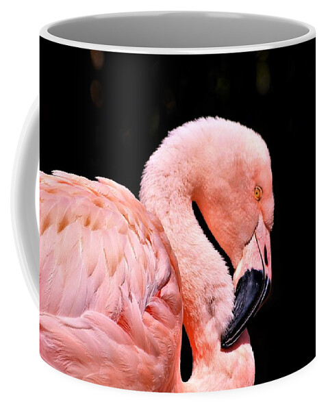 Nature Coffee Mug featuring the photograph Pink Flamingo on Black by Sheila Brown