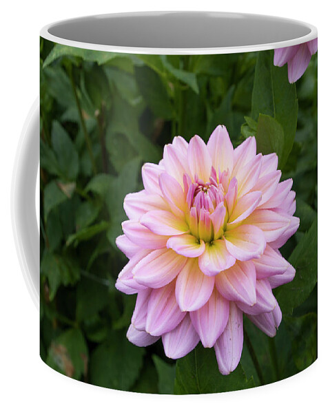 Flower Coffee Mug featuring the photograph Pink flower by Nicola Aristolao