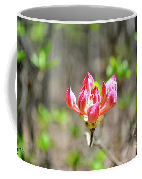 Pink Flower Coffee Mug featuring the photograph Pink Flower of the Mountains by Verana Stark