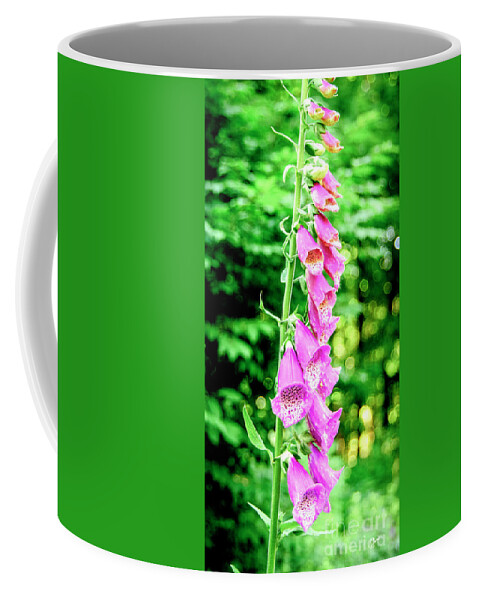 Flower Coffee Mug featuring the photograph Pink Foxglove by Alana Ranney