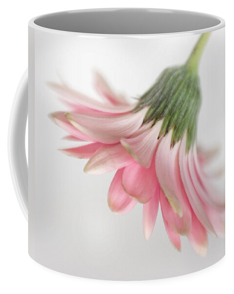 Bloom Coffee Mug featuring the photograph Pink Gerbera Daisy by David and Carol Kelly