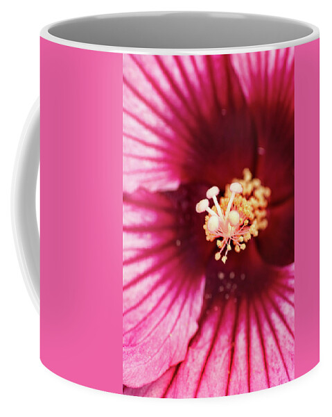 Hibiscus Coffee Mug featuring the photograph Pink Hibiscus-Inside by Don Johnson