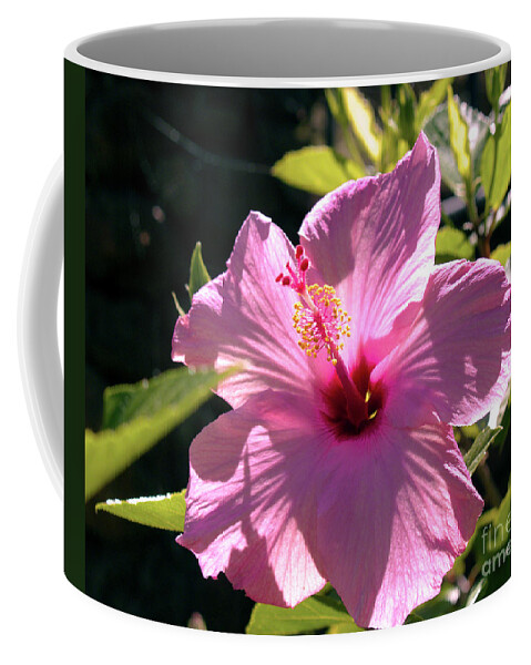 Fine Art Photography Coffee Mug featuring the photograph Pink Hibiscus by Patricia Griffin Brett
