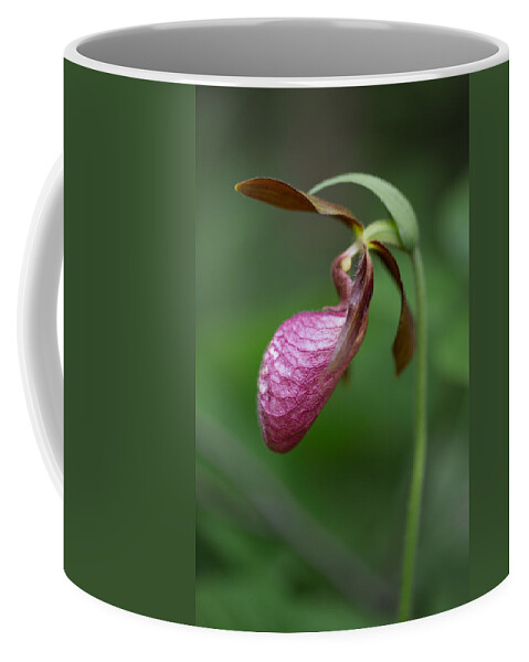 Canada Coffee Mug featuring the photograph Pink Ladys Slipper Cypripedium acaule by Jakub Sisak