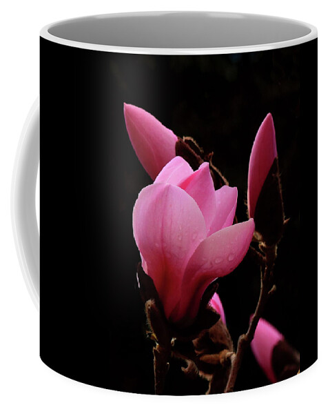 Alex Lyubar Coffee Mug featuring the photograph Pink Magnolia by Alex Lyubar