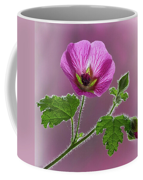 Blossom Coffee Mug featuring the photograph Pink Mallow Flower by Shirley Mitchell
