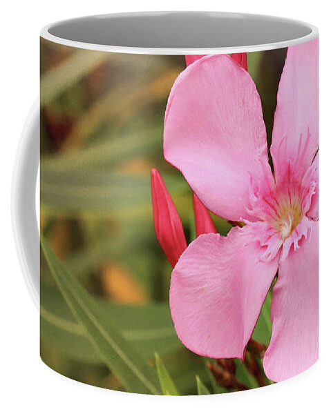 Oleander Coffee Mug featuring the photograph Pink Oleander Cool Mist by Judy Vincent