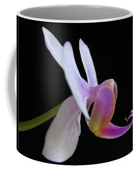 Georgia Coffee Mug featuring the photograph Pink Orchid by Juergen Roth