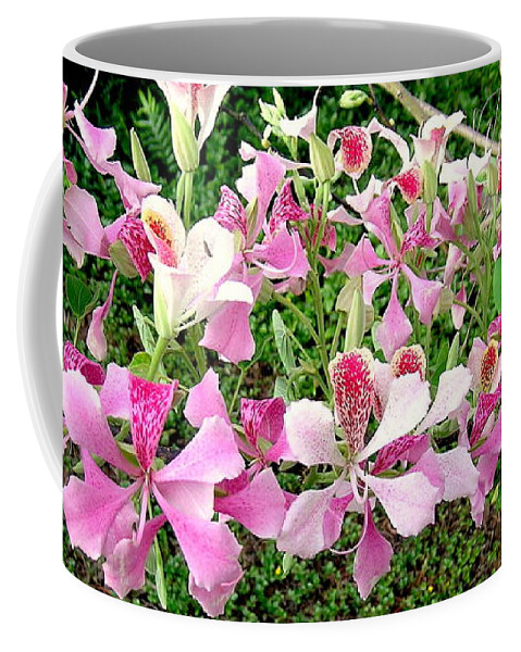 Pink Orchid Tree Coffee Mug featuring the photograph Pink Orchid Tree by James Temple