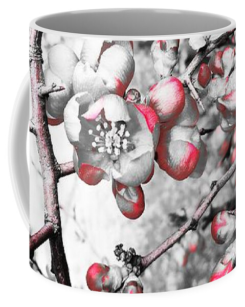  Coffee Mug featuring the photograph Pink Paradise Apple by Jarek Filipowicz