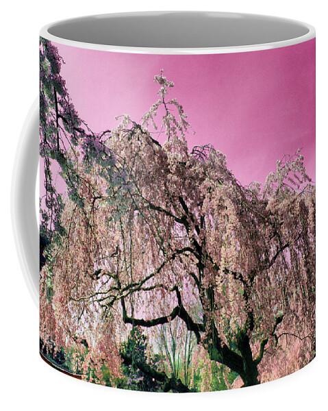 Cherry Blossoms Coffee Mug featuring the photograph Pink Paradise by Onedayoneimage Photography