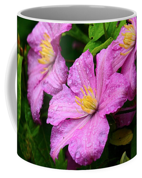 Purple Coffee Mug featuring the photograph Pink Petals by Scott Olsen