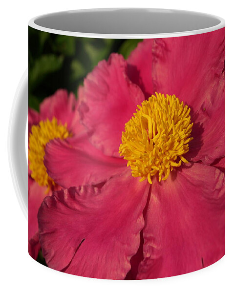 Bloom Coffee Mug featuring the photograph Pink Peony by Beth Collins