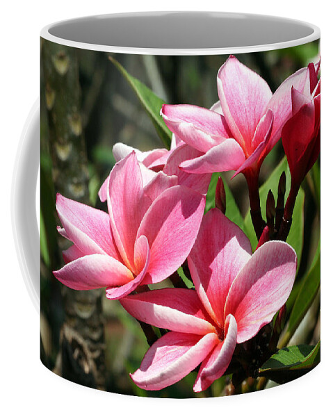 Flower Coffee Mug featuring the photograph Pink Plumeria by Teresa Zieba