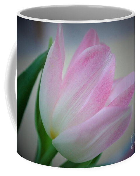 Tulips Coffee Mug featuring the photograph Pink Poetry by Marcia Breznay