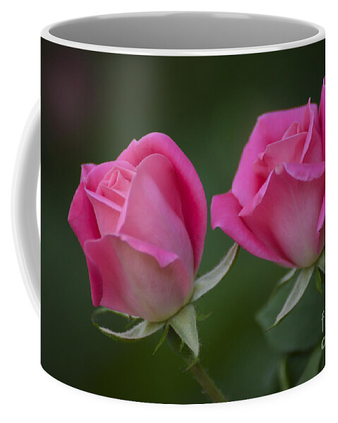 Rose Coffee Mug featuring the photograph Pink Roses by Andrea Silies