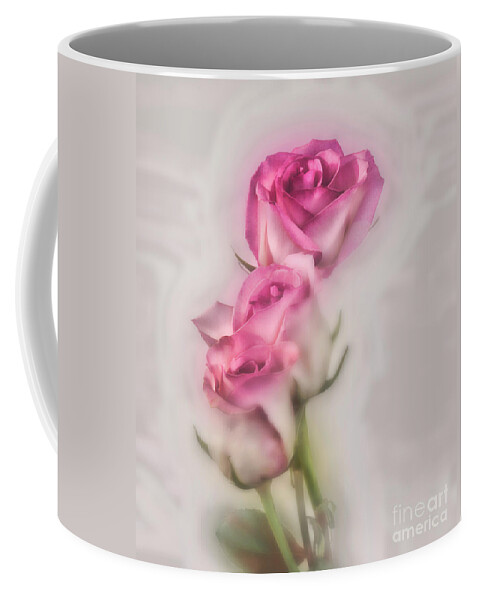 Roses Coffee Mug featuring the photograph Pink Roses by Shirley Mangini