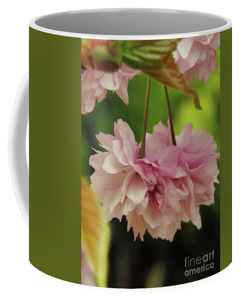 Cherry Blossoms Coffee Mug featuring the photograph Pink Sakura 2 by Kim Tran