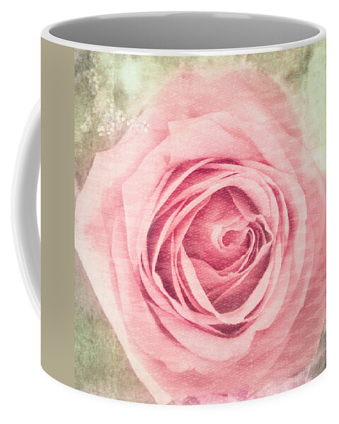 Pink Rose Coffee Mug featuring the photograph Pink, Single Rose by Cynthia Wolfe