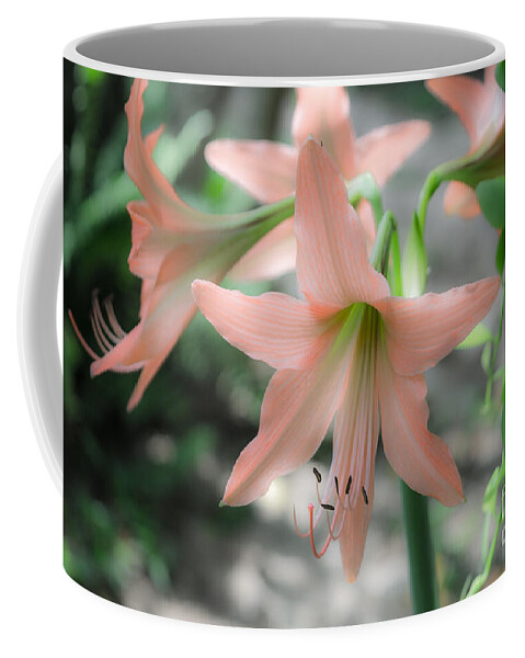 Michelle Meenawong Coffee Mug featuring the photograph Pink Softness by Michelle Meenawong