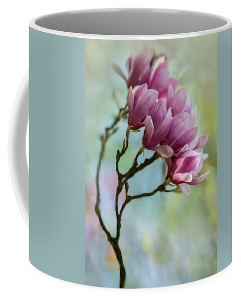 Magnolia Coffee Mug featuring the photograph Pink Soulange Magnolia by Jaroslaw Blaminsky