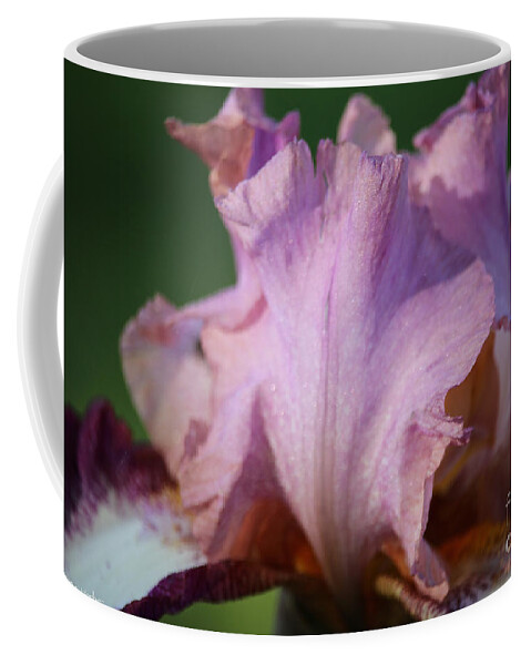 Flower Coffee Mug featuring the photograph Pink Sparkles by Susan Herber