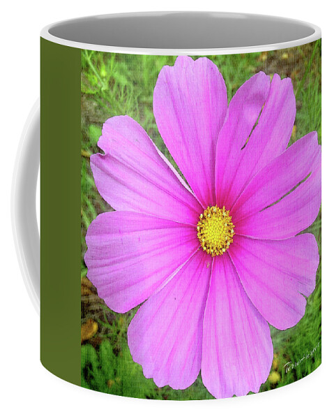 Pink Coffee Mug featuring the photograph Pink by Terri Harper