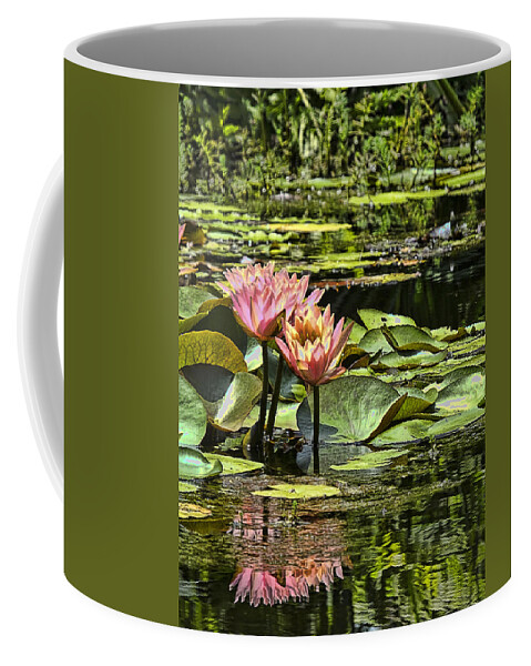 Water Coffee Mug featuring the photograph Pink Water Lily Reflections by Bill Barber