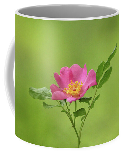 Rose Coffee Mug featuring the photograph Pink Wild Rose by Debbie Oppermann