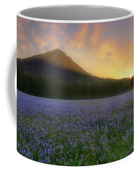 Pinnacle Mountain Coffee Mug featuring the photograph Pinnacle Mountain Sunrise - Arkansas - State Park by Jason Politte