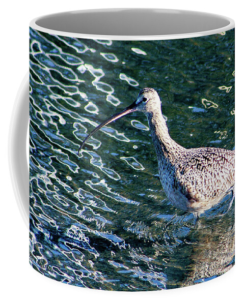 Bird Coffee Mug featuring the photograph Piper Profile by Adam Morsa