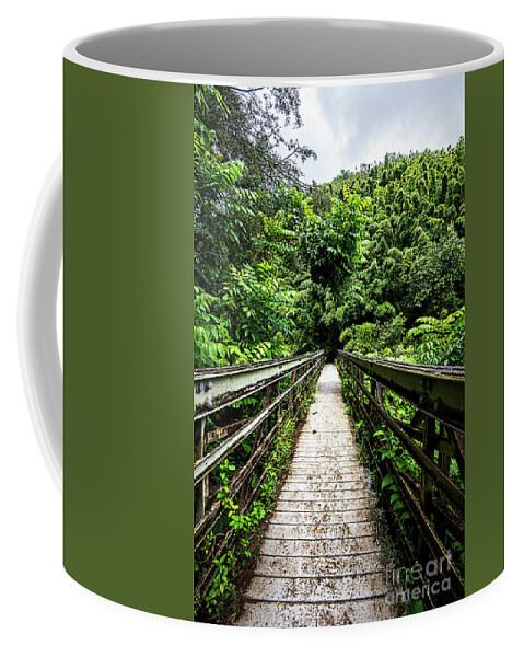 Maui Coffee Mug featuring the photograph Pipiwai Trail bridge 2 by Baywest Imaging