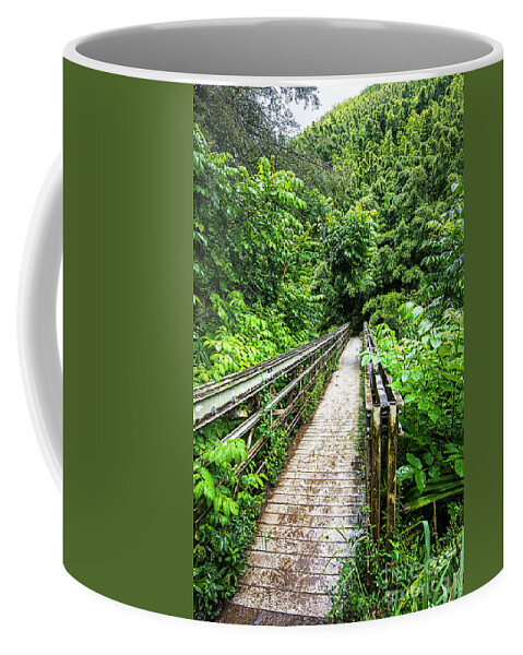 Maui Coffee Mug featuring the photograph Pipiwai Trail bridge 3 by Baywest Imaging