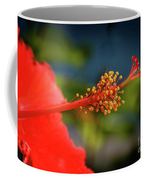 Hibiscus Coffee Mug featuring the photograph Pistil Of Hibiscus by Robert Bales