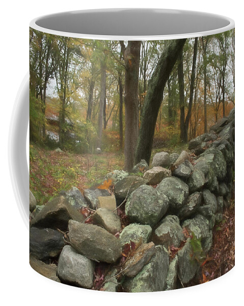 Stone Wall. Trees Coffee Mug featuring the photograph Place for a Hero by Nancy De Flon