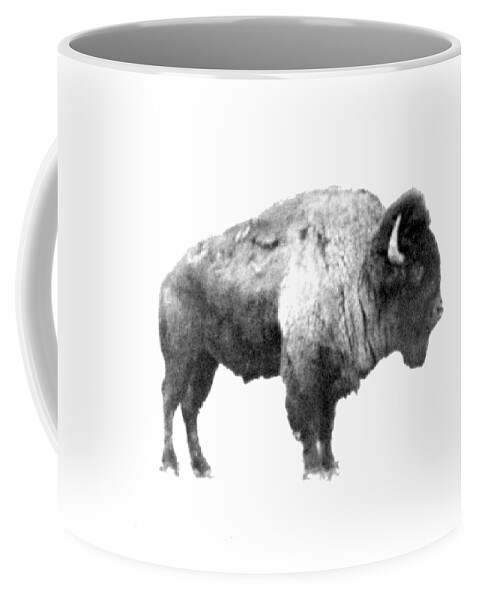 Bison Coffee Mug featuring the photograph Plains Bison by Jim Sauchyn