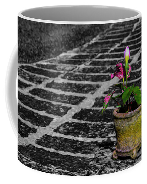 Plants Coffee Mug featuring the photograph Plant by Stuart Manning